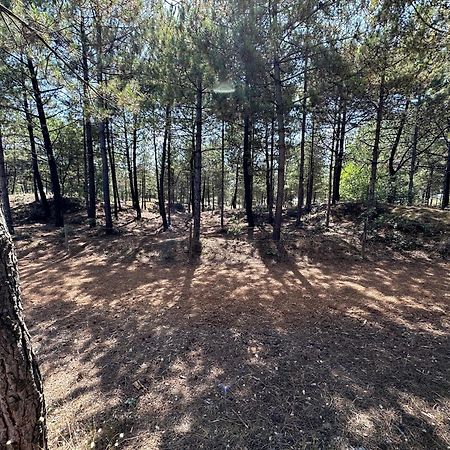 Appartement Au Bord De Mer سانت-بريفين-لي-بان المظهر الخارجي الصورة