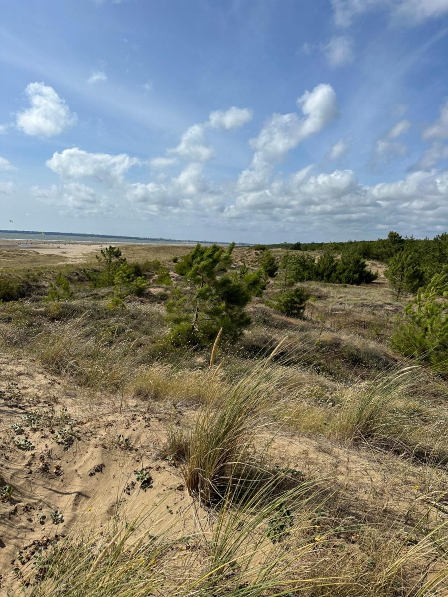 Appartement Au Bord De Mer سانت-بريفين-لي-بان المظهر الخارجي الصورة