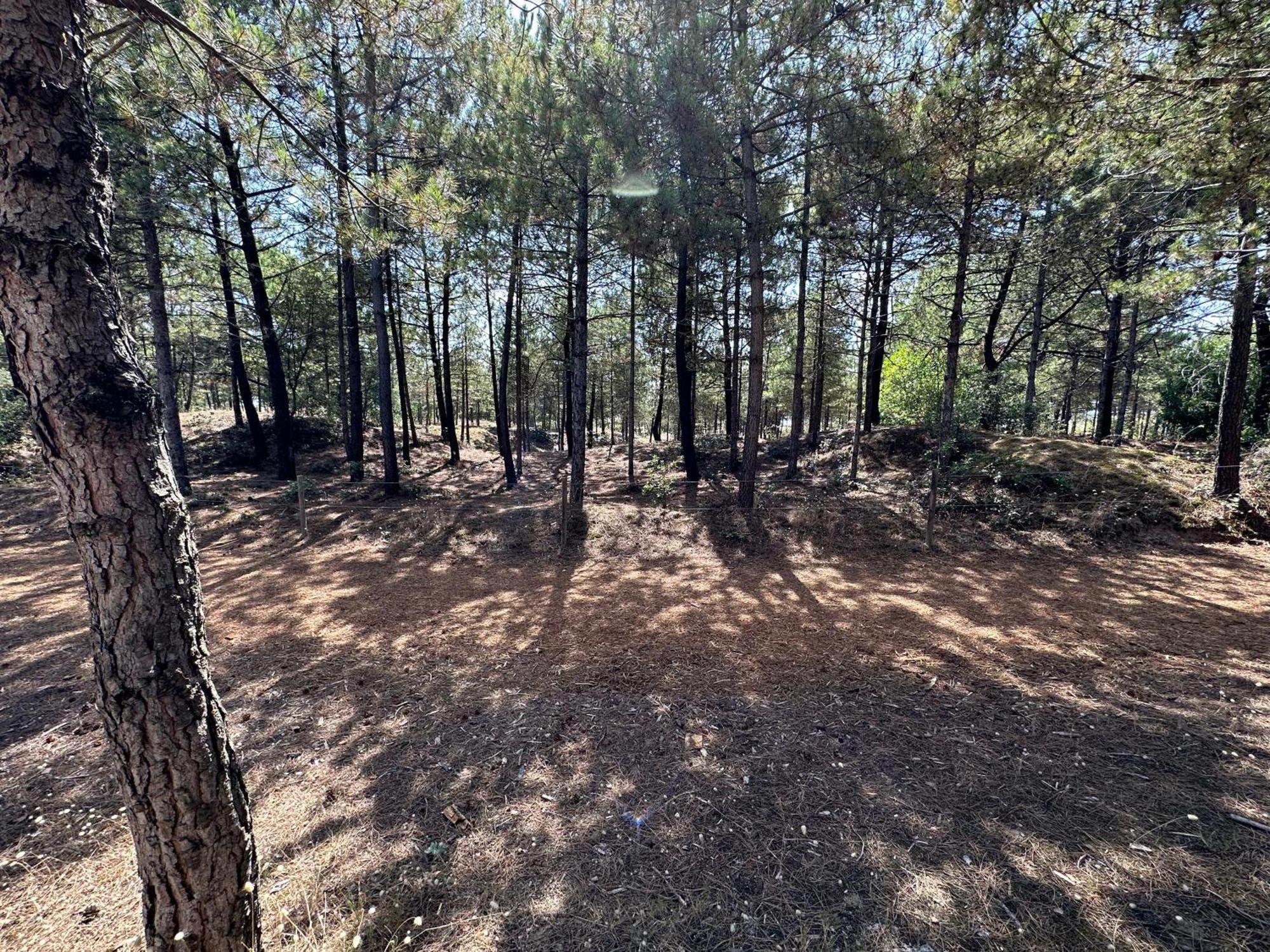 Appartement Au Bord De Mer سانت-بريفين-لي-بان المظهر الخارجي الصورة